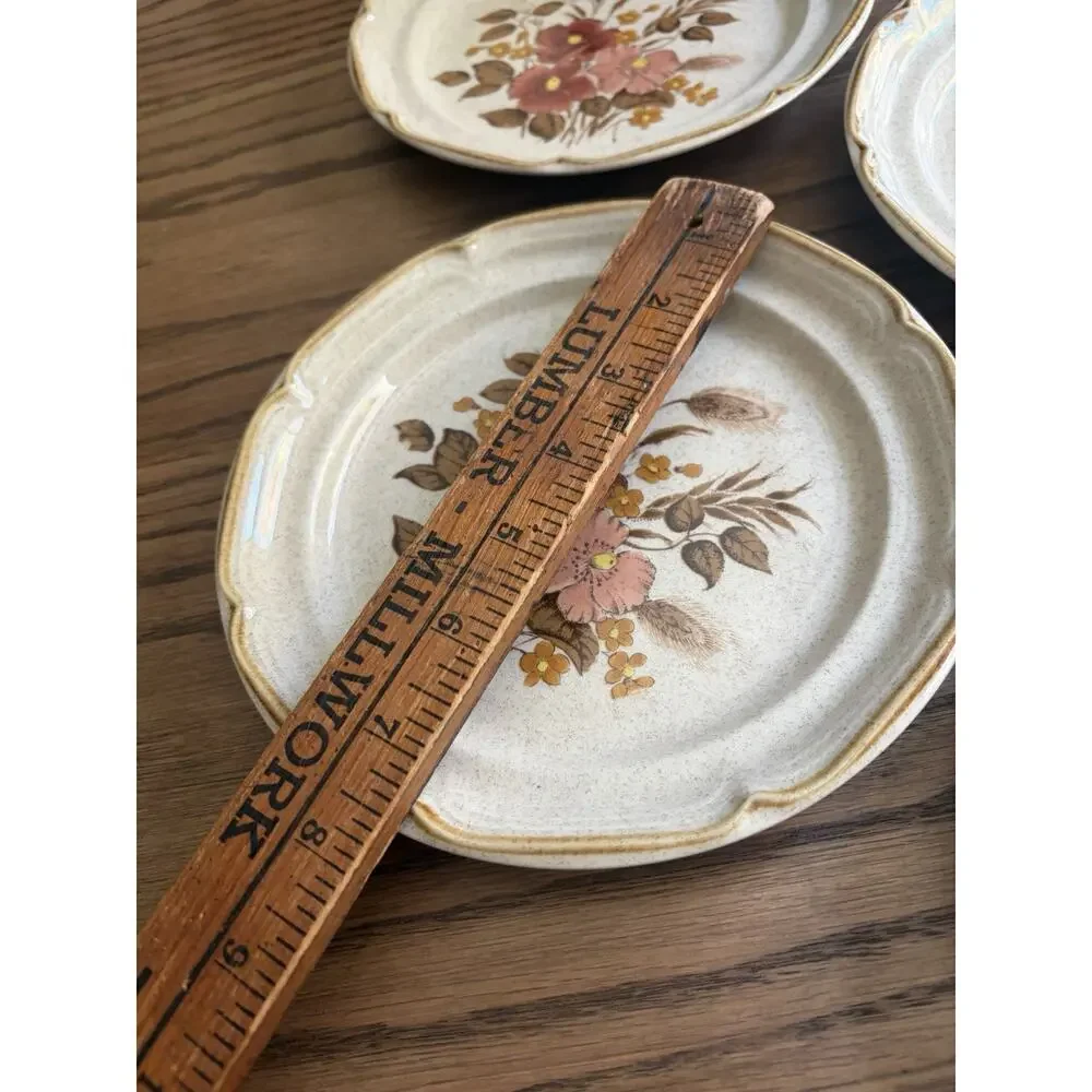 Vintage 1970s Festive Endura Collection Salad Plates Stoneware Made in Japan (5)